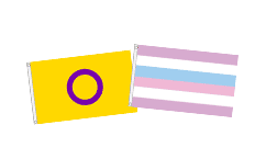 Intersex Flags